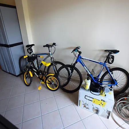 Exceptional With Swimming Pool